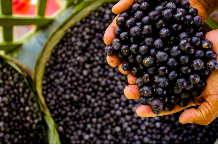 Commodities brasileiras